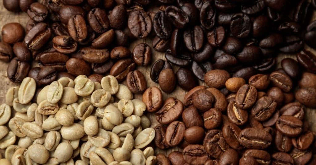 4 Popular Coffee Bean Kinds You Need to Know