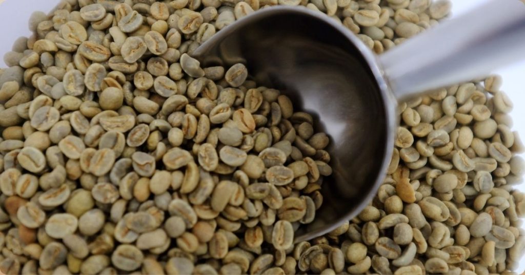 Factors Affecting Ground Coffee Bean Expiration Date