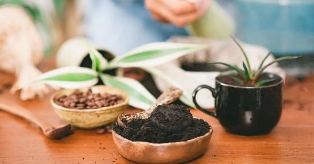 Benefits of making compost of Coffee Grounds